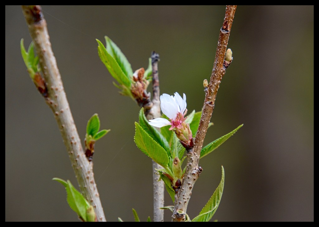 The Week In Seven&nbsp;Photos