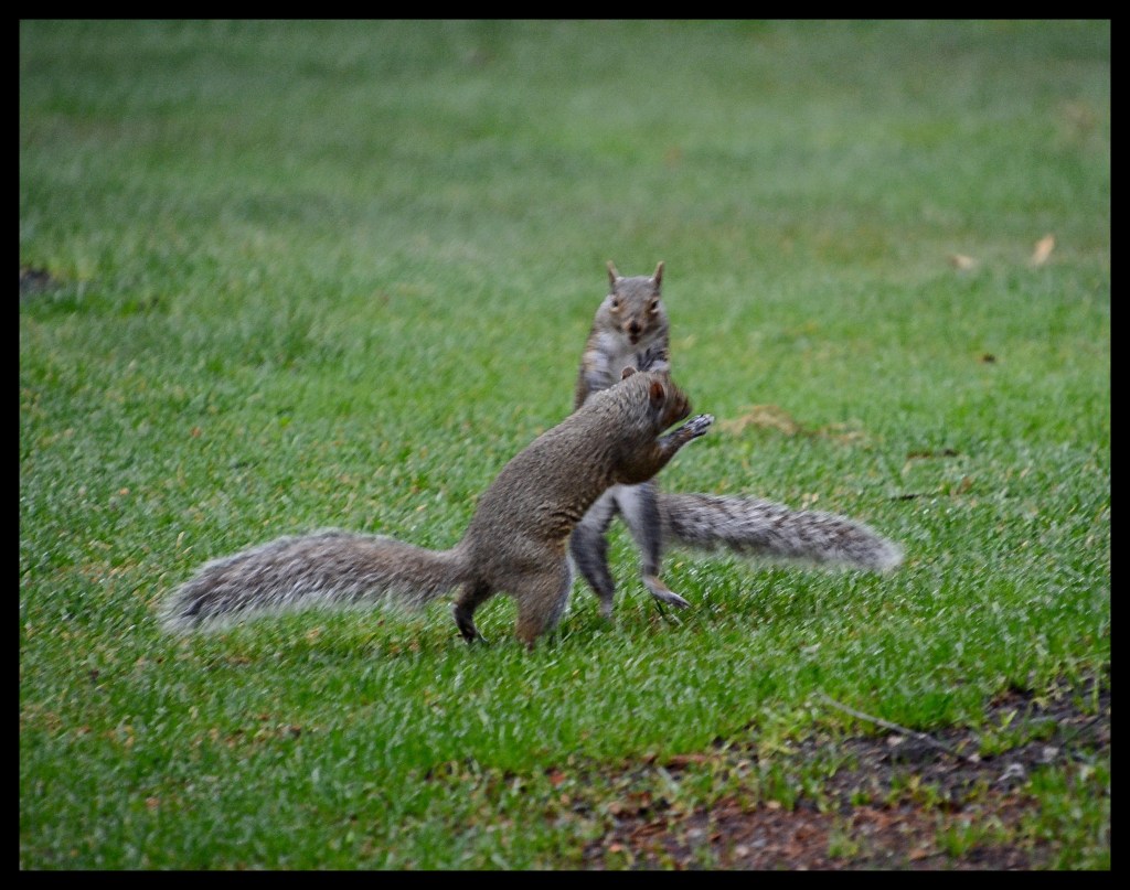 Hit Me With Your Best&nbsp;Shot