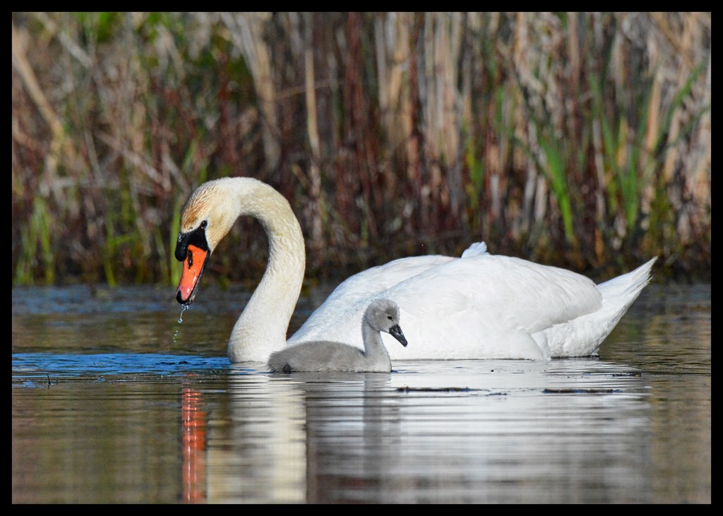 The Week In Seven&nbsp;Photos