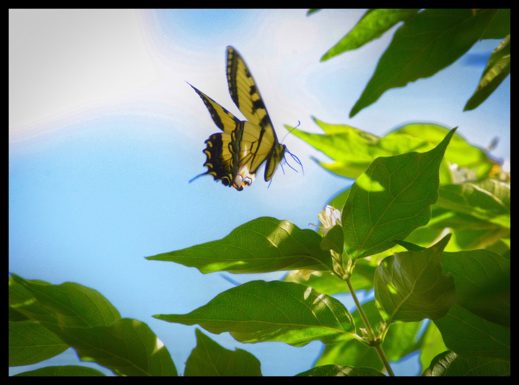 The Week In Seven&nbsp;Photos