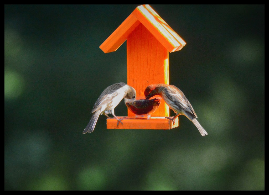 The Week In Seven Photos