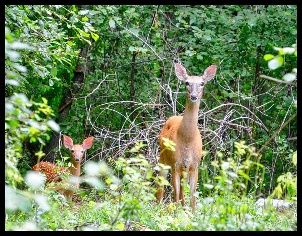 The Week In Seven&nbsp;Photos