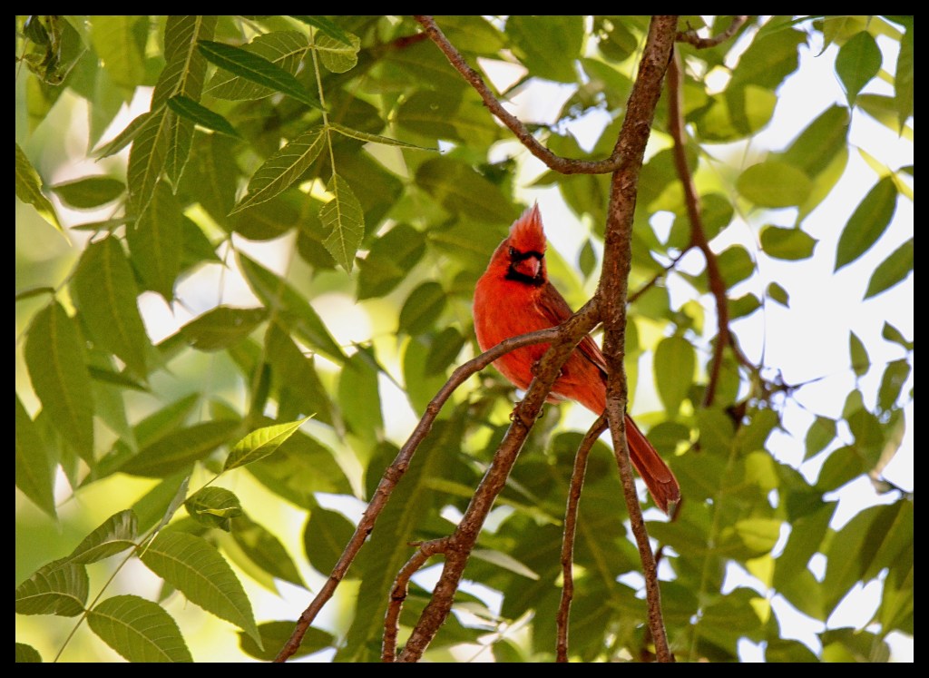 Well, Who Are&nbsp;You?