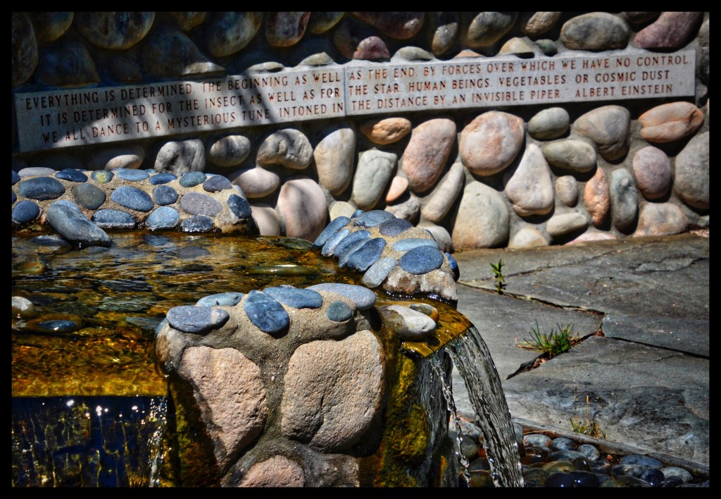 In The Silence They&nbsp;Lingered