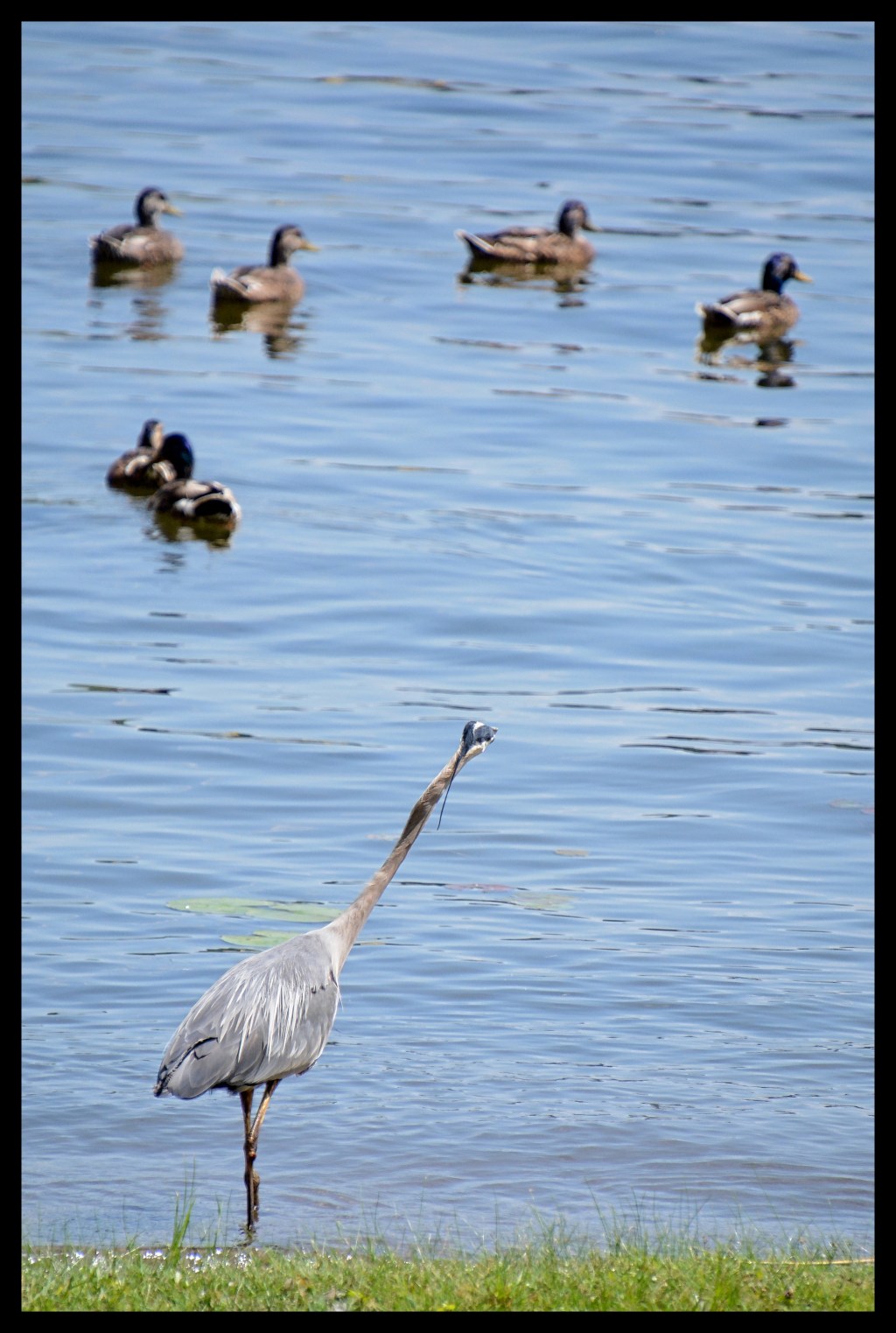 Don’t You Forget About&nbsp;Me