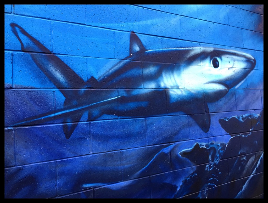 Fins To The&nbsp;Right