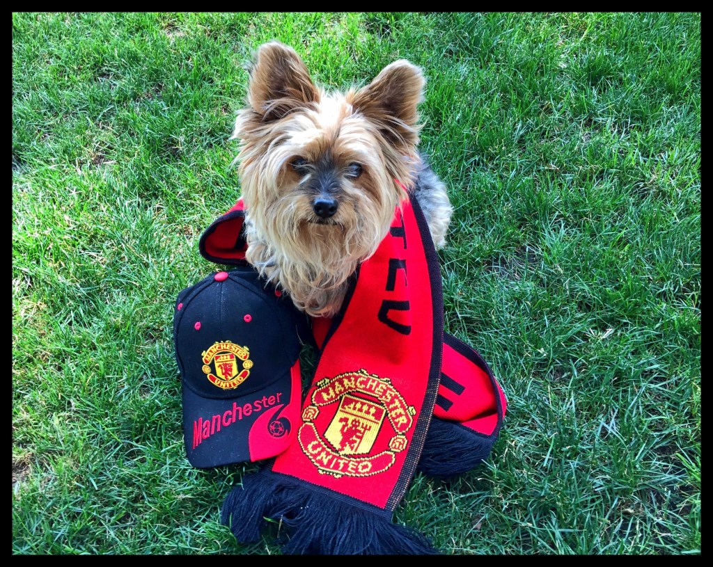 A Day Of&nbsp;Memories