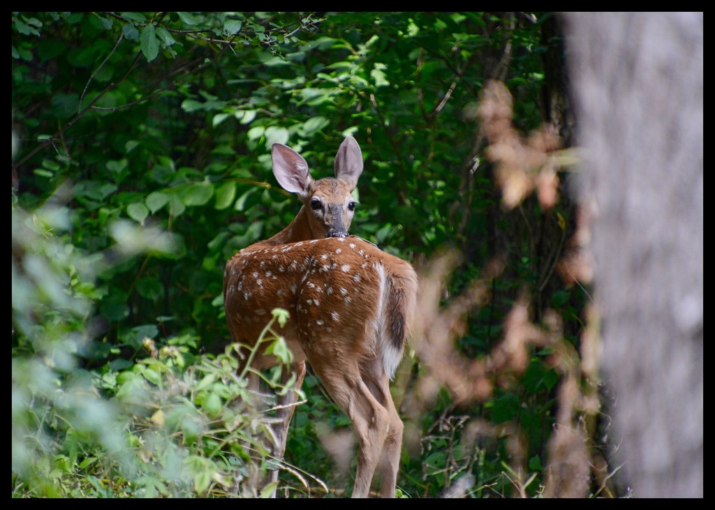 The Week In Seven&nbsp;Photos