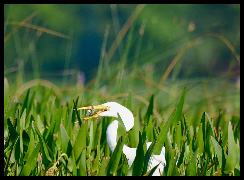 Mouth-Watering Saturday