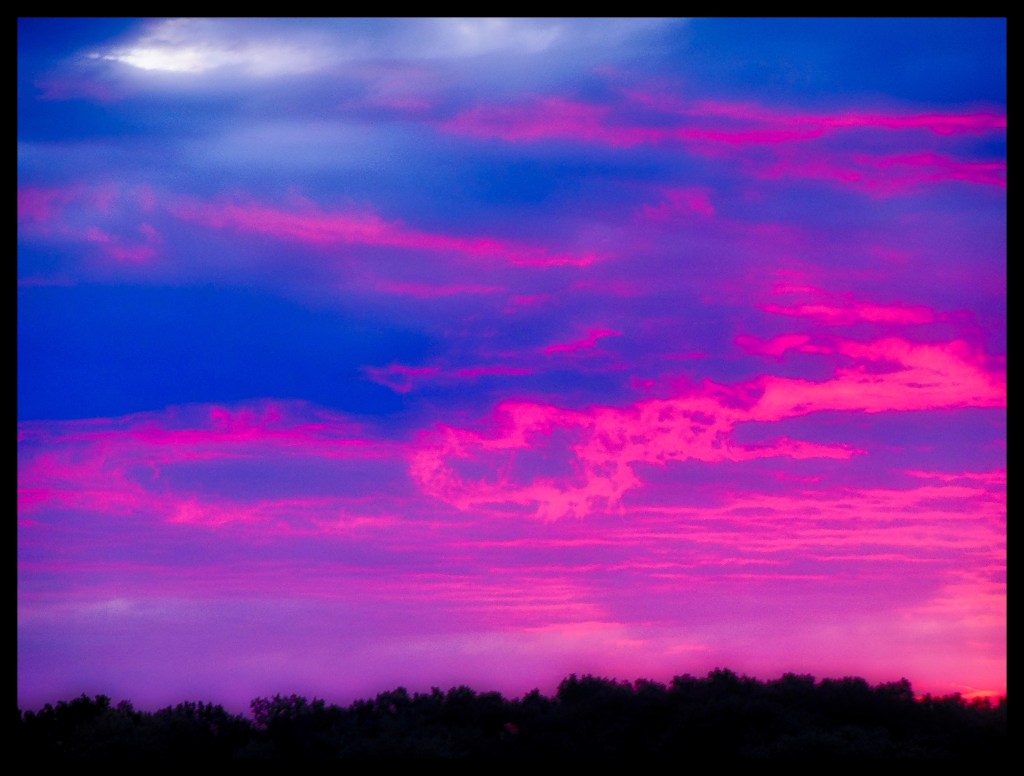 Pink To Brighten The&nbsp;Morning