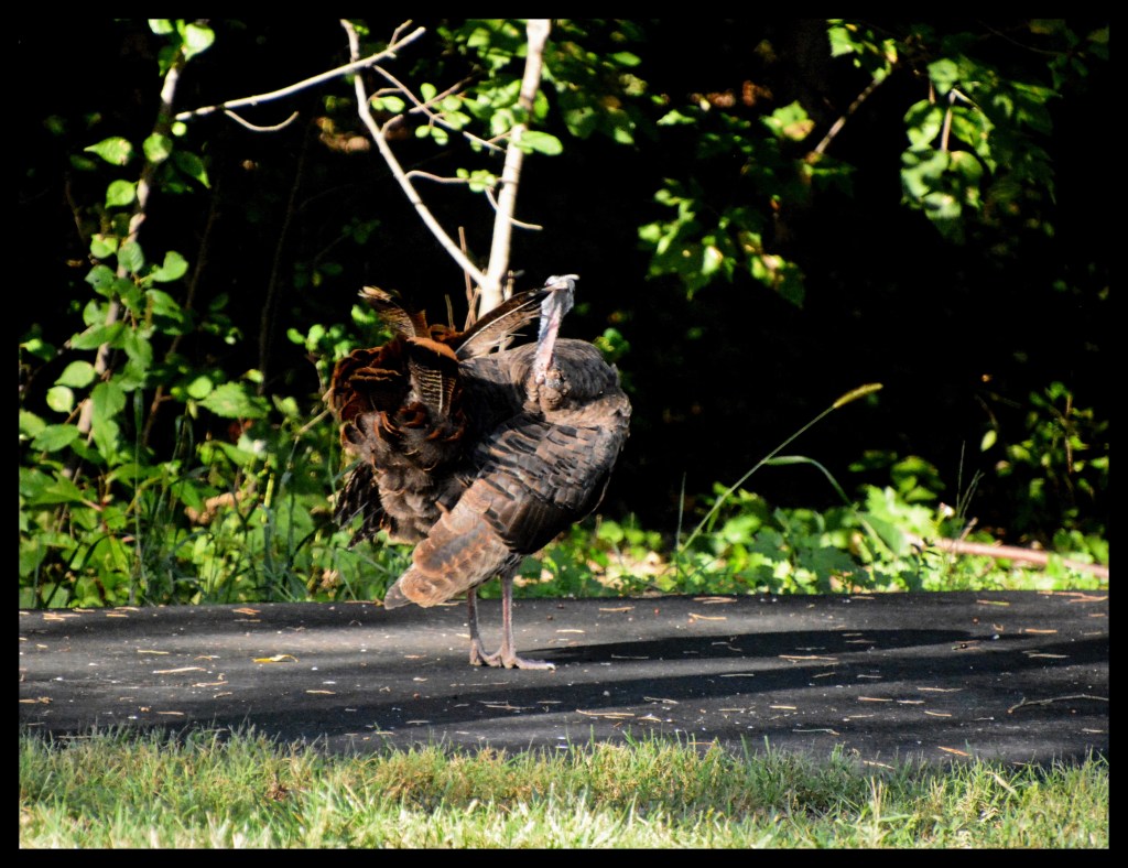 The Week In Seven&nbsp;Photos