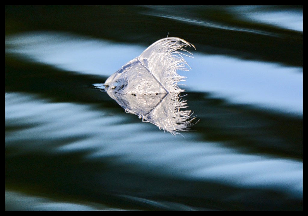 The Week In Seven&nbsp;Photos