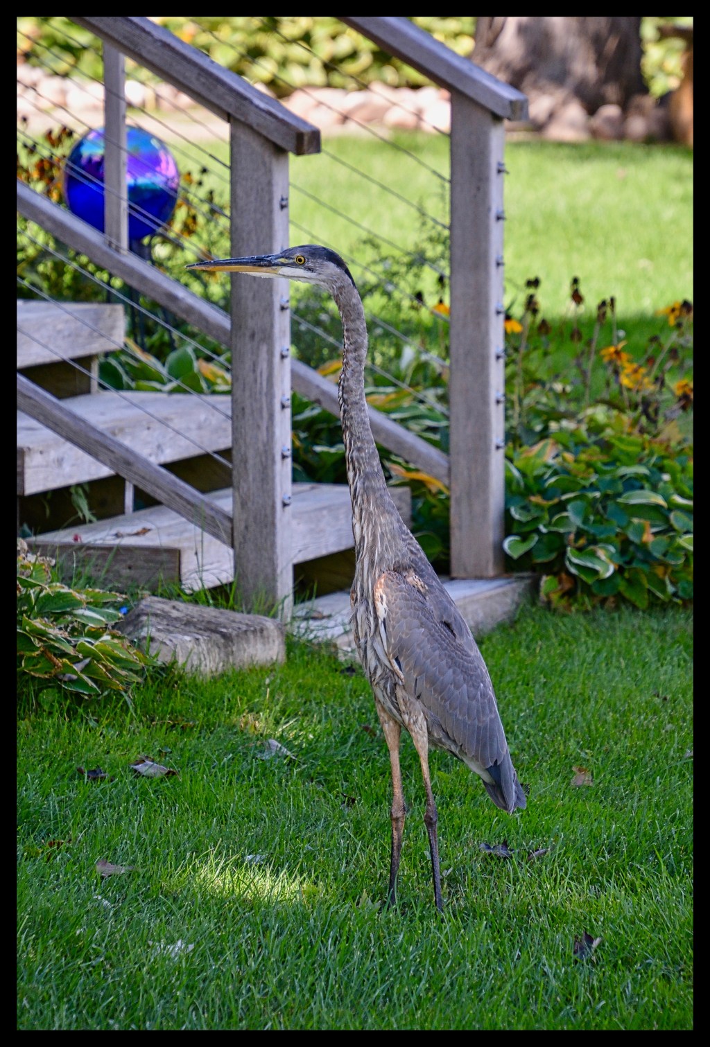 Guess Who’s Coming To&nbsp;Dinner