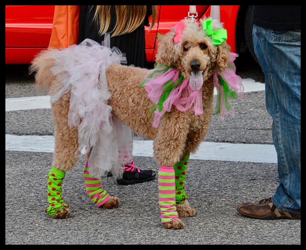 We Got The&nbsp;Beat