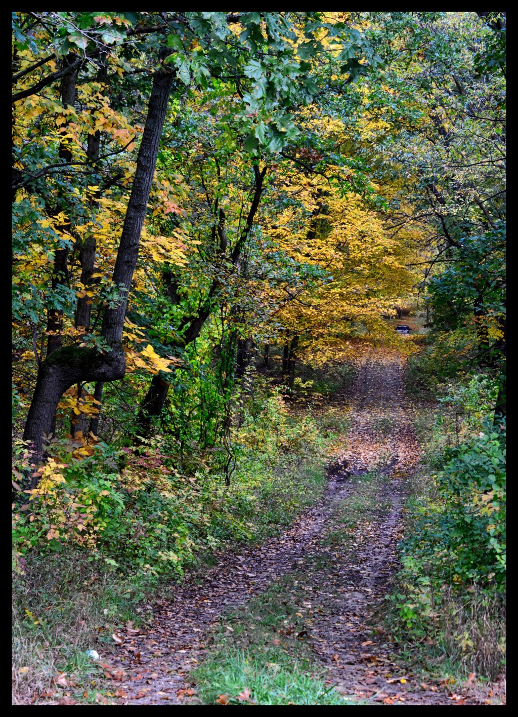 The Road You&nbsp;Travel