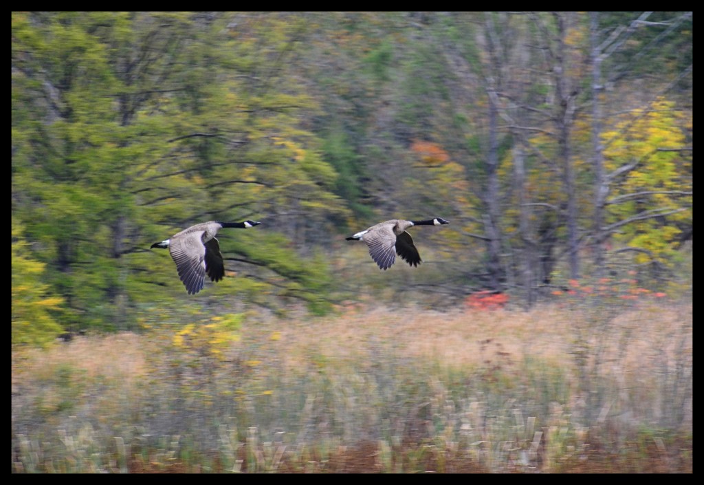 The Week In Seven&nbsp;Photos