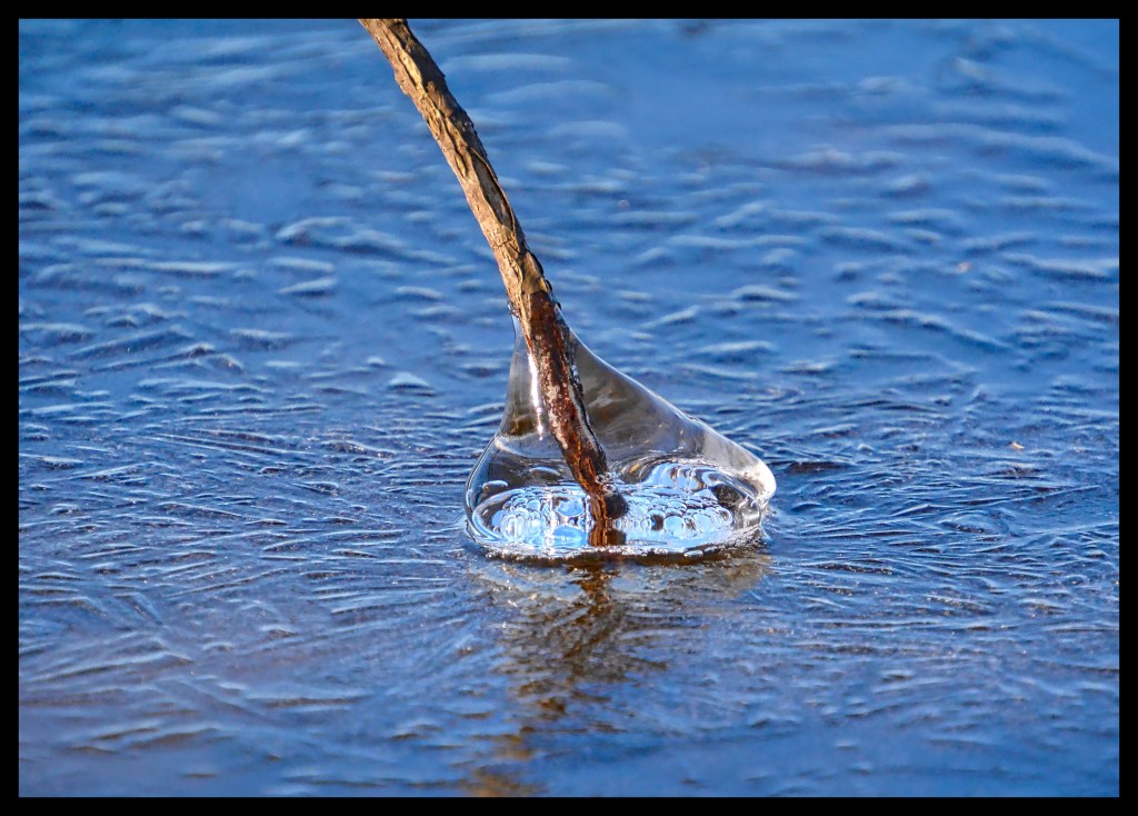 We Come From The Land Of The Ice And Snow