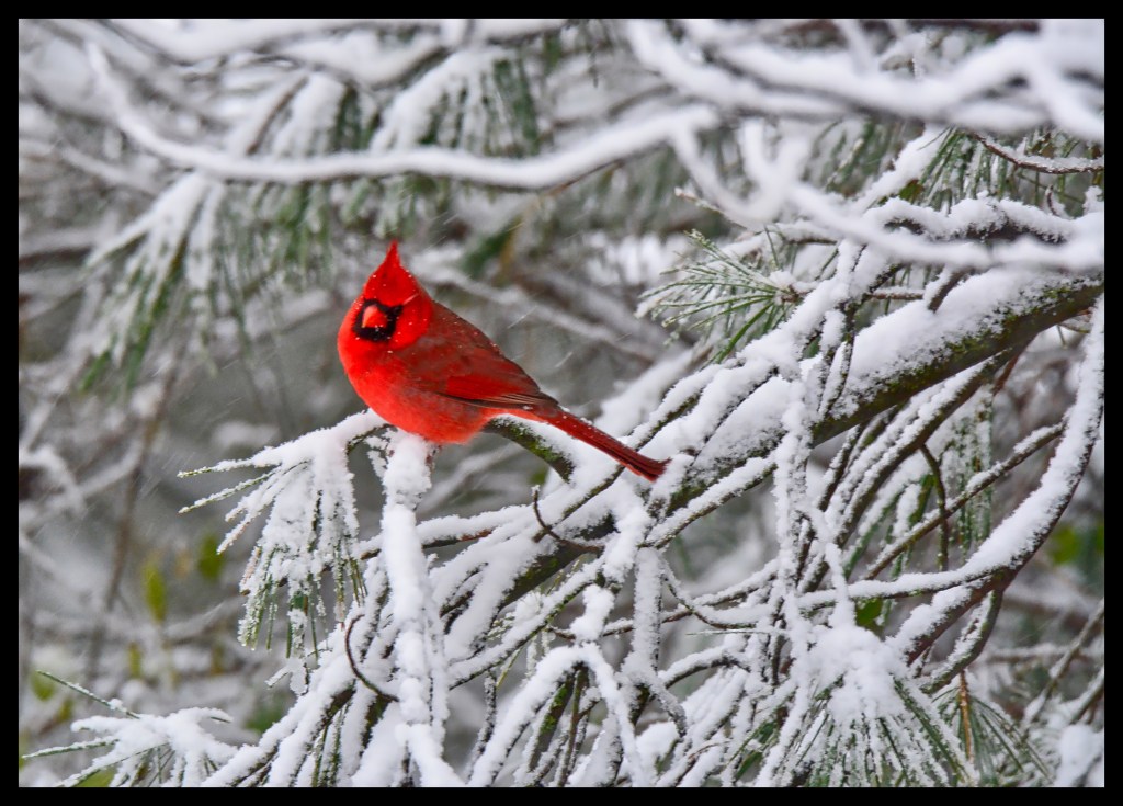 The Week In Seven&nbsp;Photos