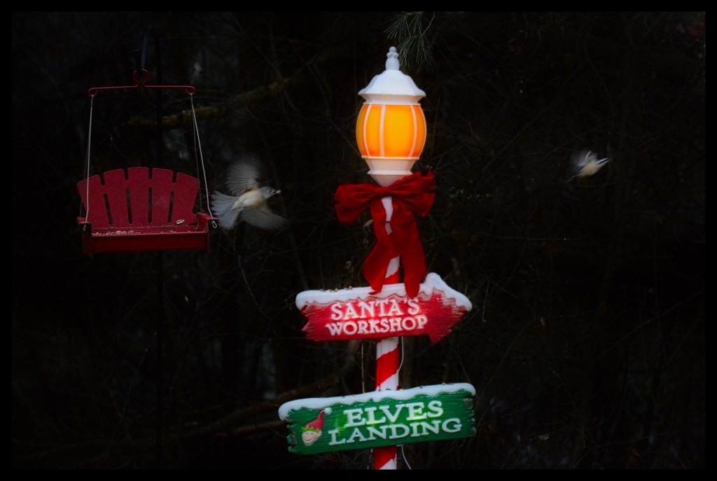 We Sail On The&nbsp;Glow