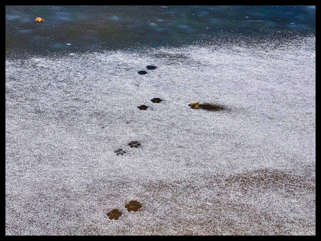 Footprints
