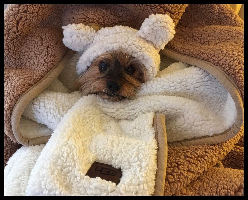 The Year In Twelve Photos