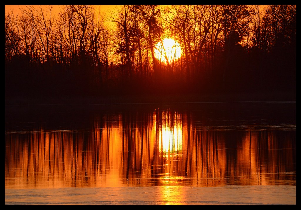 The Week In Seven Photos