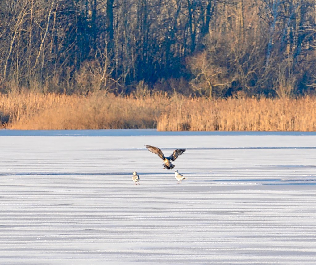 Stuck In The&nbsp;Middle