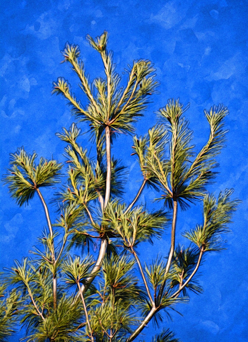 Need A Blue Sky&nbsp;Holiday