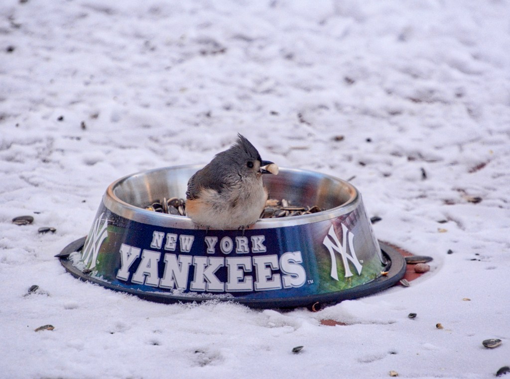 The Week In Seven&nbsp;Photos