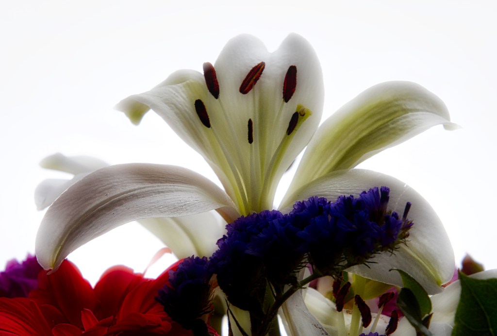 The Week In Seven&nbsp;Photos