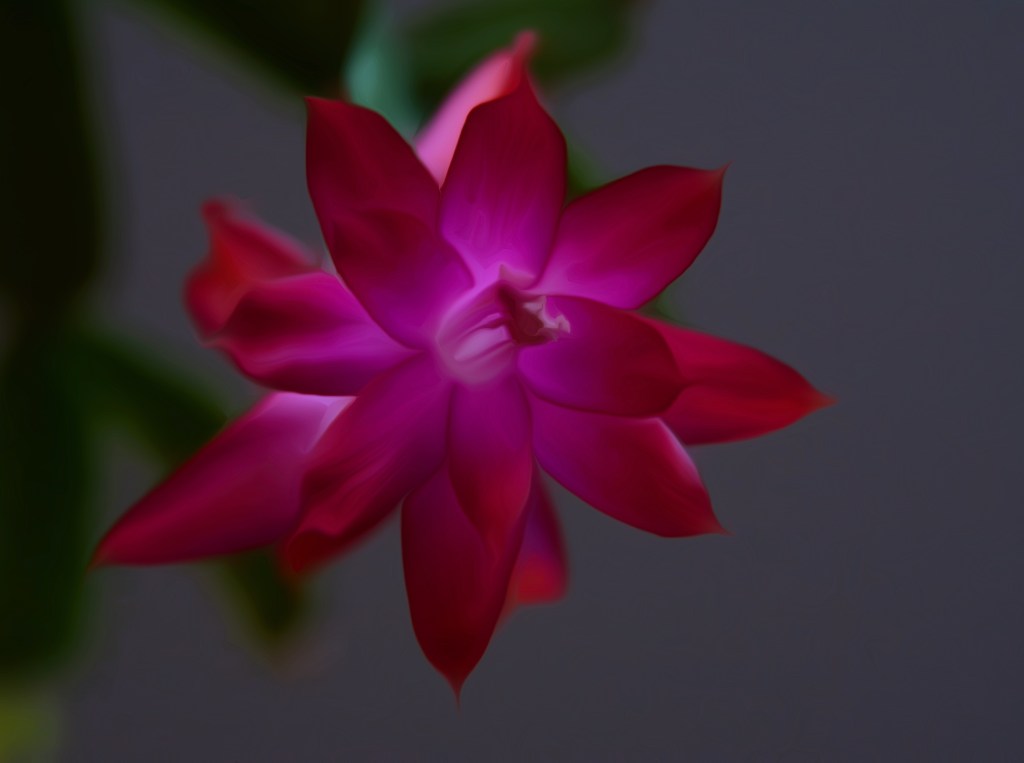 Saturday! Saturday! Saturday!