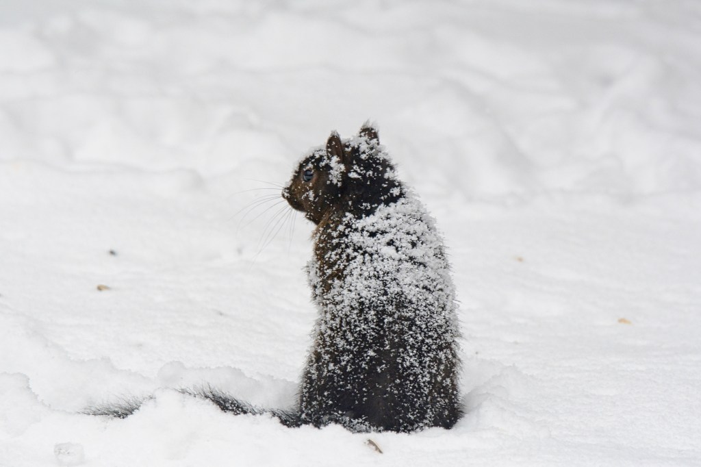 Na Na Hey Hey Goodbye&nbsp;Winter