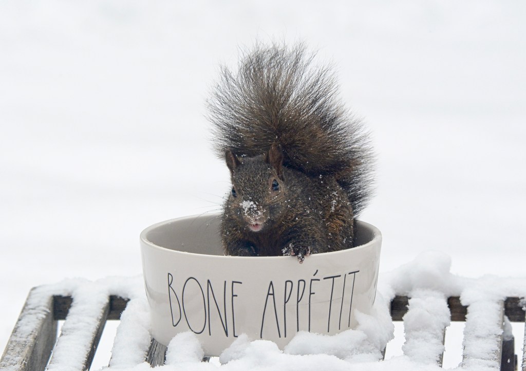 A Few Photos And Quotes That Made Me&nbsp;Smile