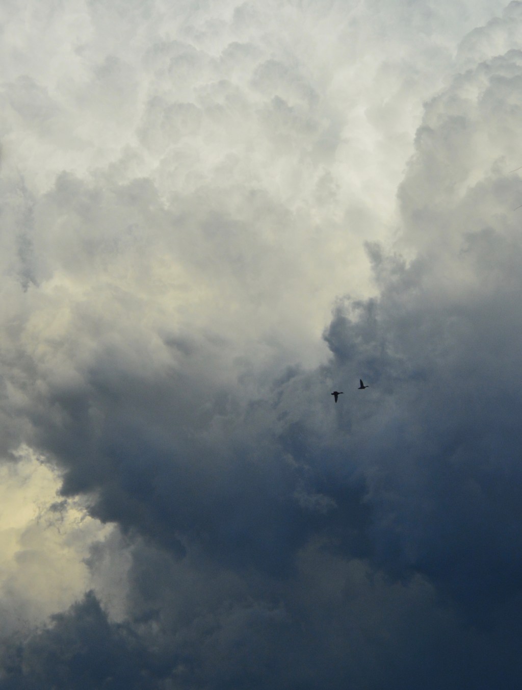 Till The Heavens Stop The&nbsp;Rain