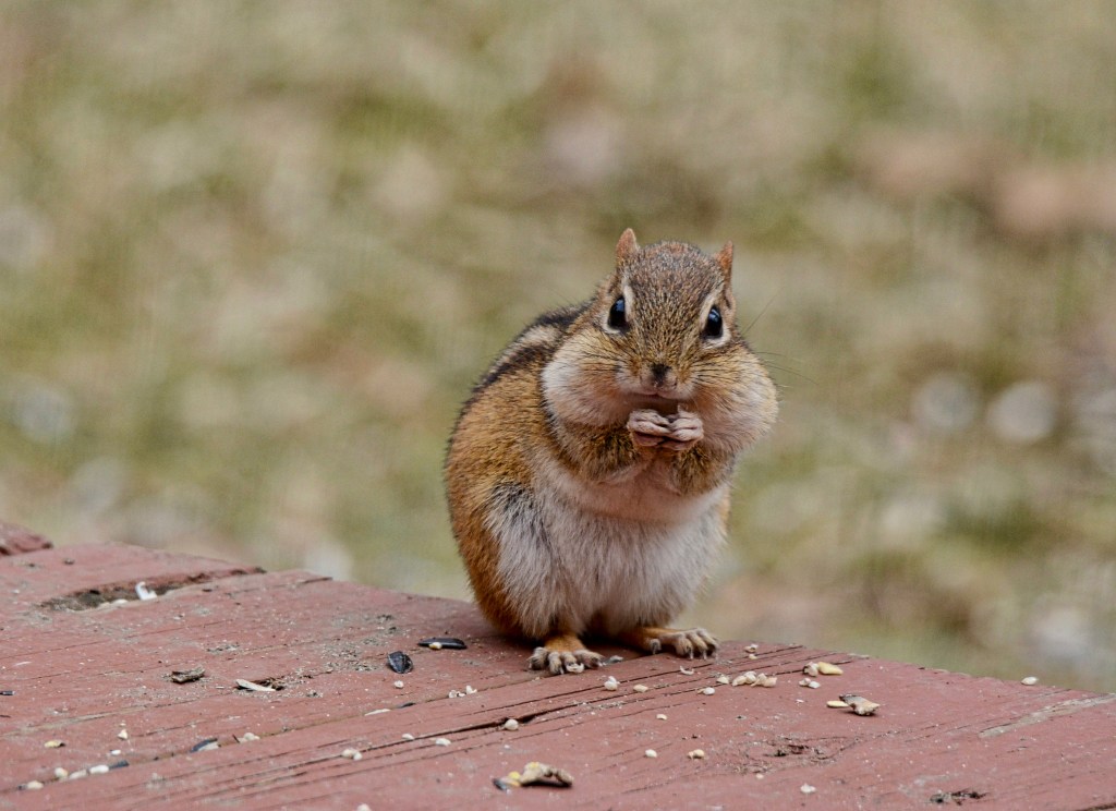 The Week In Seven&nbsp;Photos