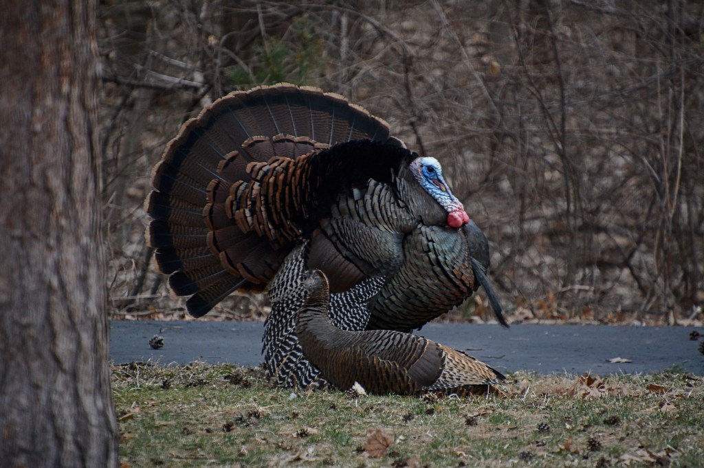 The Week In Seven&nbsp;Photos