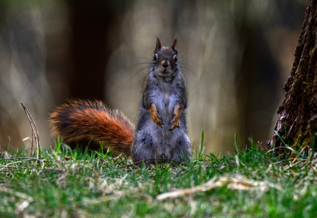 Don’t You Start No&nbsp;Fight