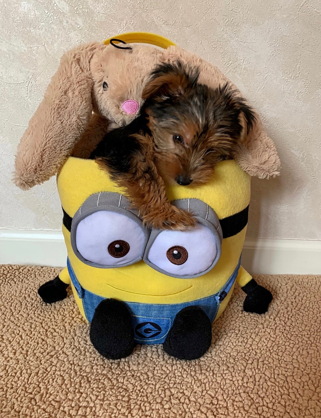 The Week In Seven&nbsp;Photos