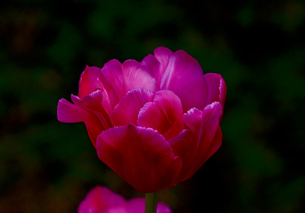 The Week In Seven&nbsp;Photos