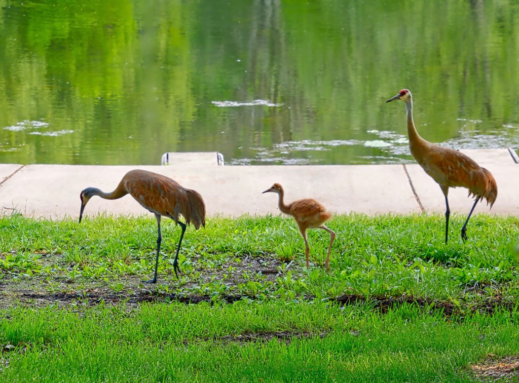 Your Mama Don’t&nbsp;Dance