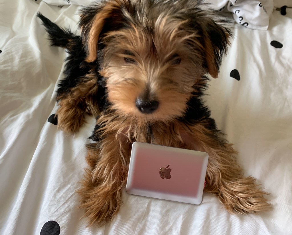 The Week In Seven&nbsp;Photos