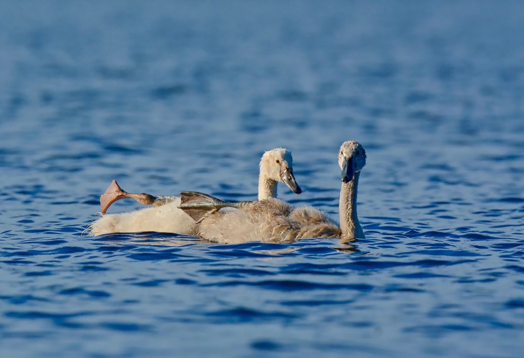 The Week In Seven&nbsp;Photos