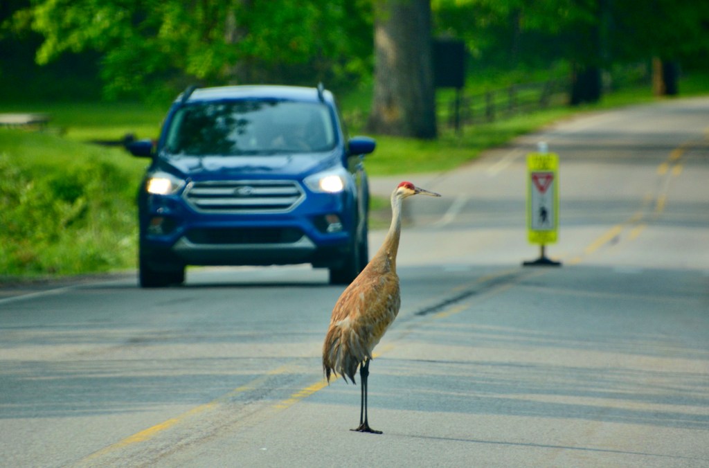 Right Down The&nbsp;Line