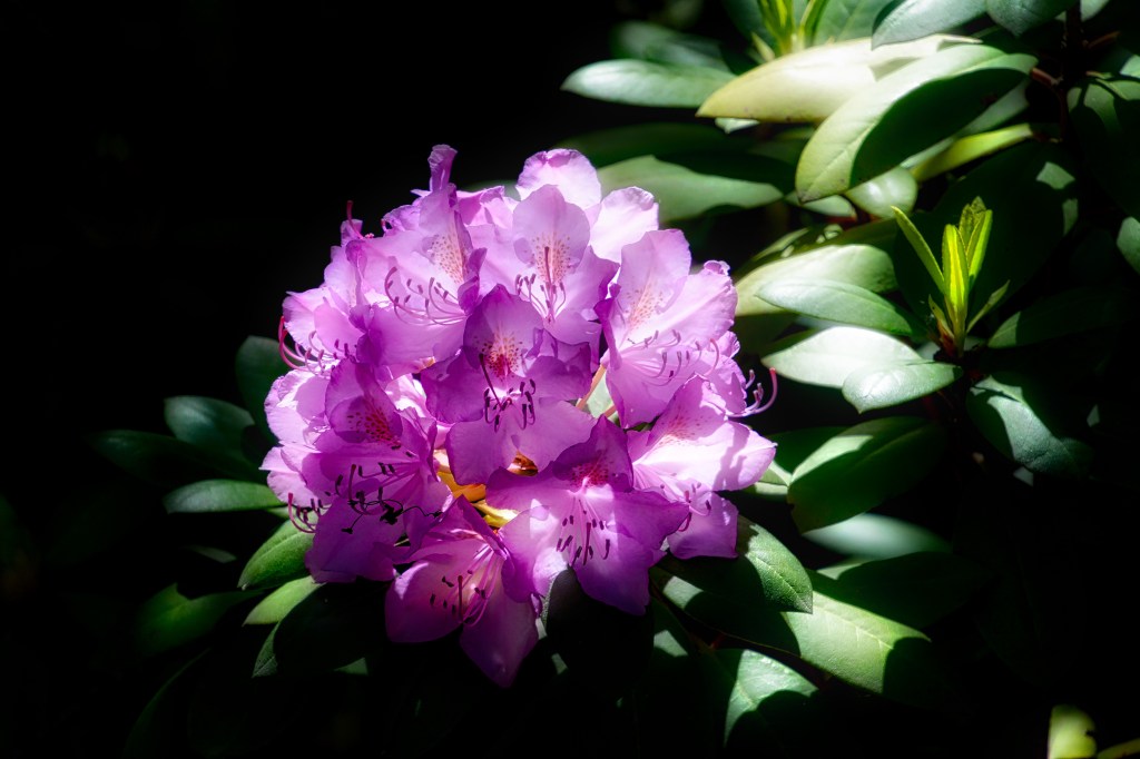 My Week In Seven Photos