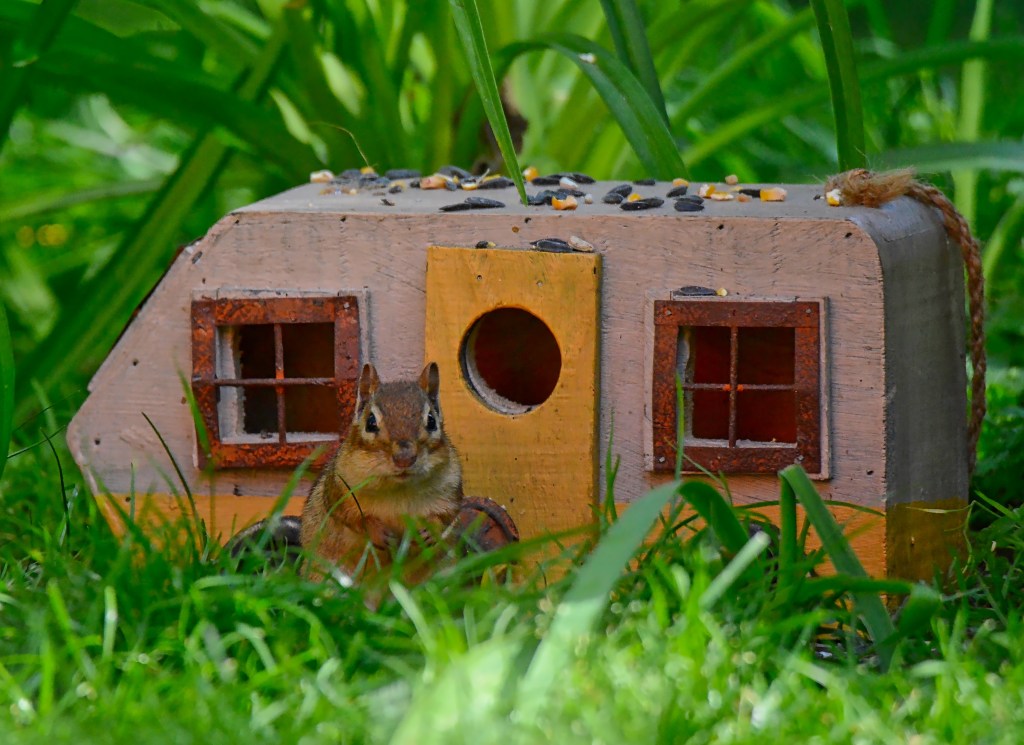 Hey! Hey! Honey, I’m&nbsp;Home!