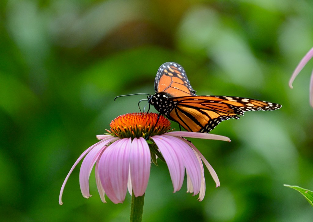 The Week In Seven&nbsp;Photos