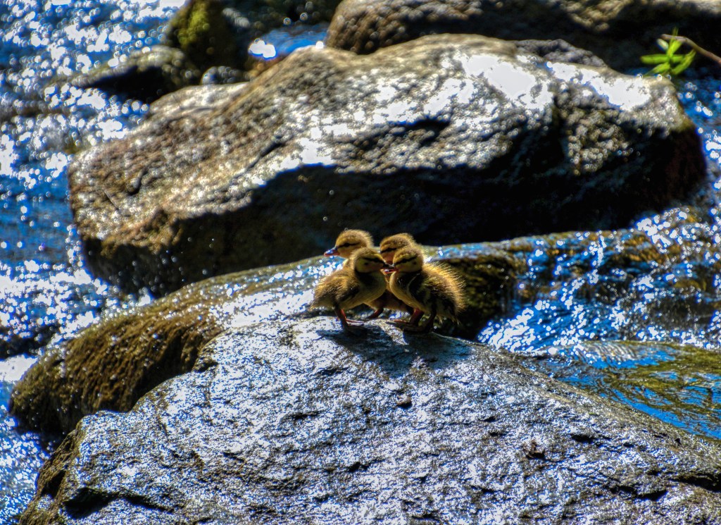 The Week In Seven&nbsp;Photos