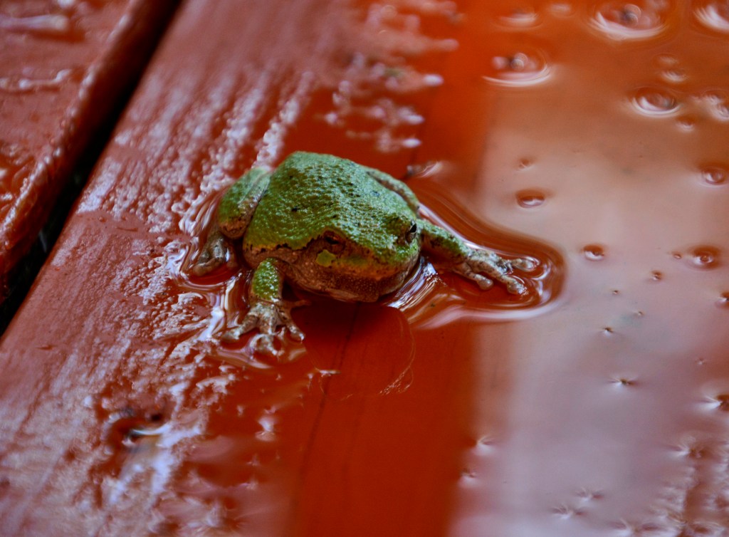 May The Light Always Find You On A Dreary&nbsp;Day