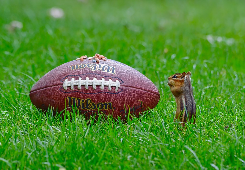 Who’s Ready For The College Football Season And&nbsp;Snacks?!!