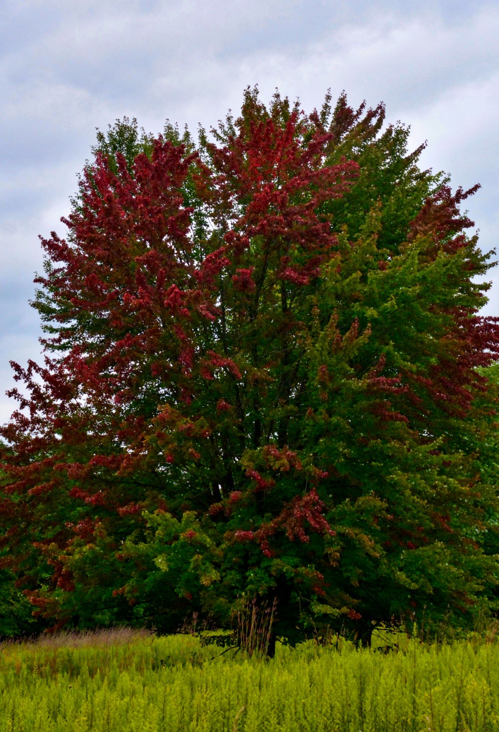 The Week In Seven&nbsp;Photos